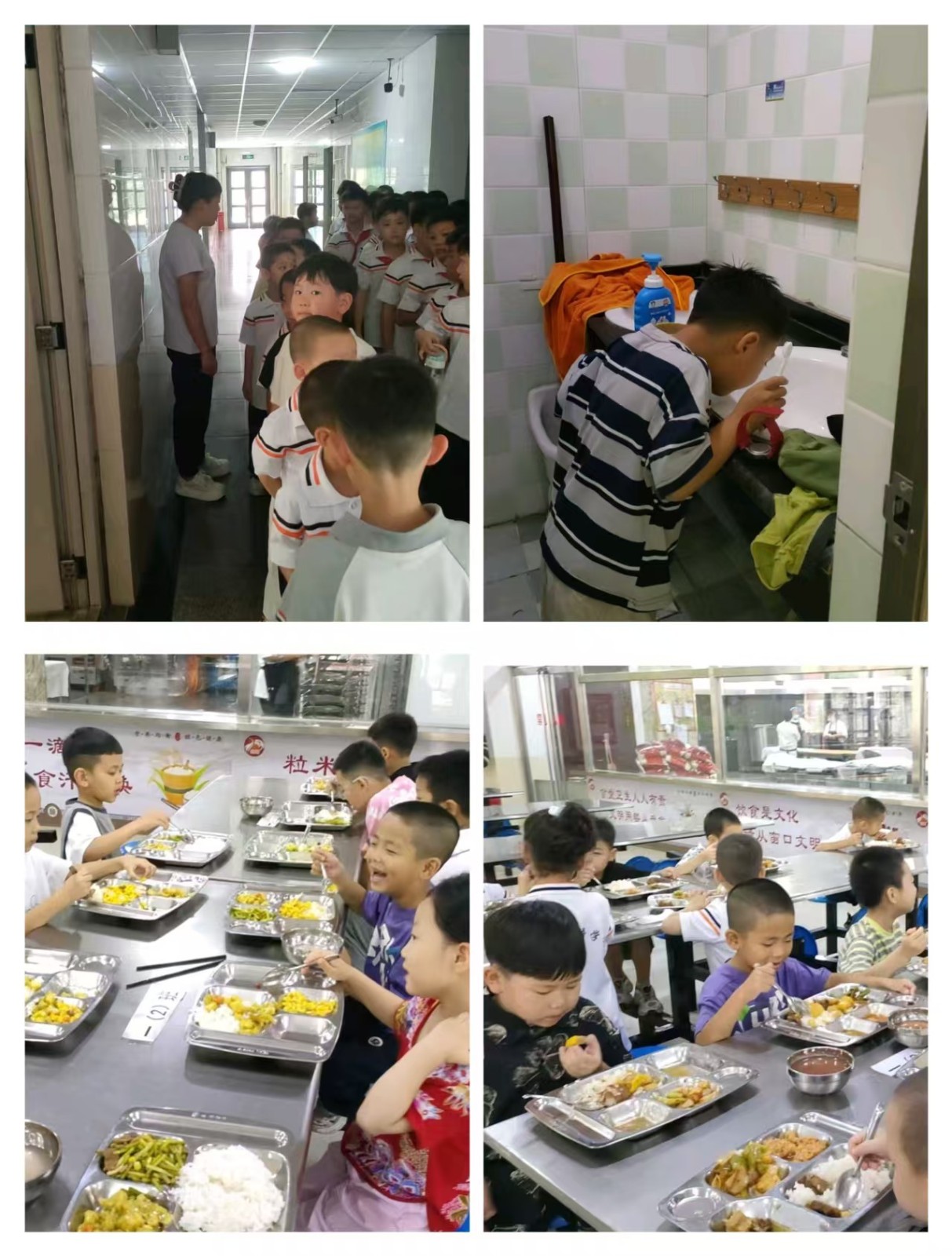 [组图]暖心护航！我校一年级新生训练营圆满结束，小萌娃们元气满满迎小学 第 13 张